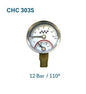 Combined temperature & pressure gauge 50mm Bottom entry