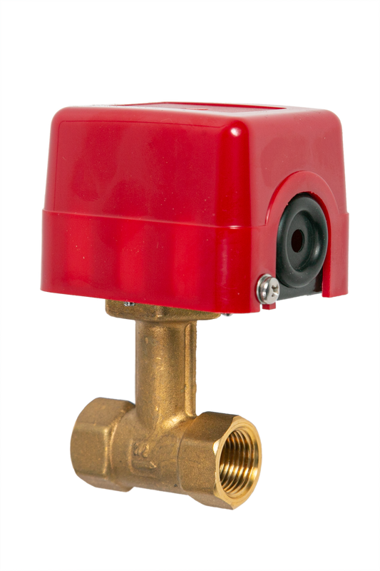 Banico  Paddle Flow Switch 3/4" 20mm