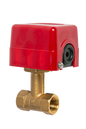 Banico  Paddle Flow Switch 3/4" 20mm