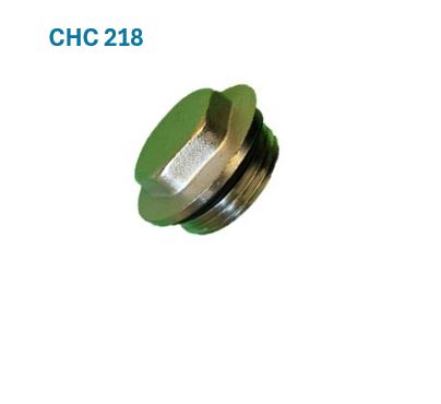 1" Blind plug with O ring