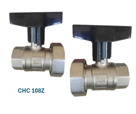 1' Pump Valve (pair)